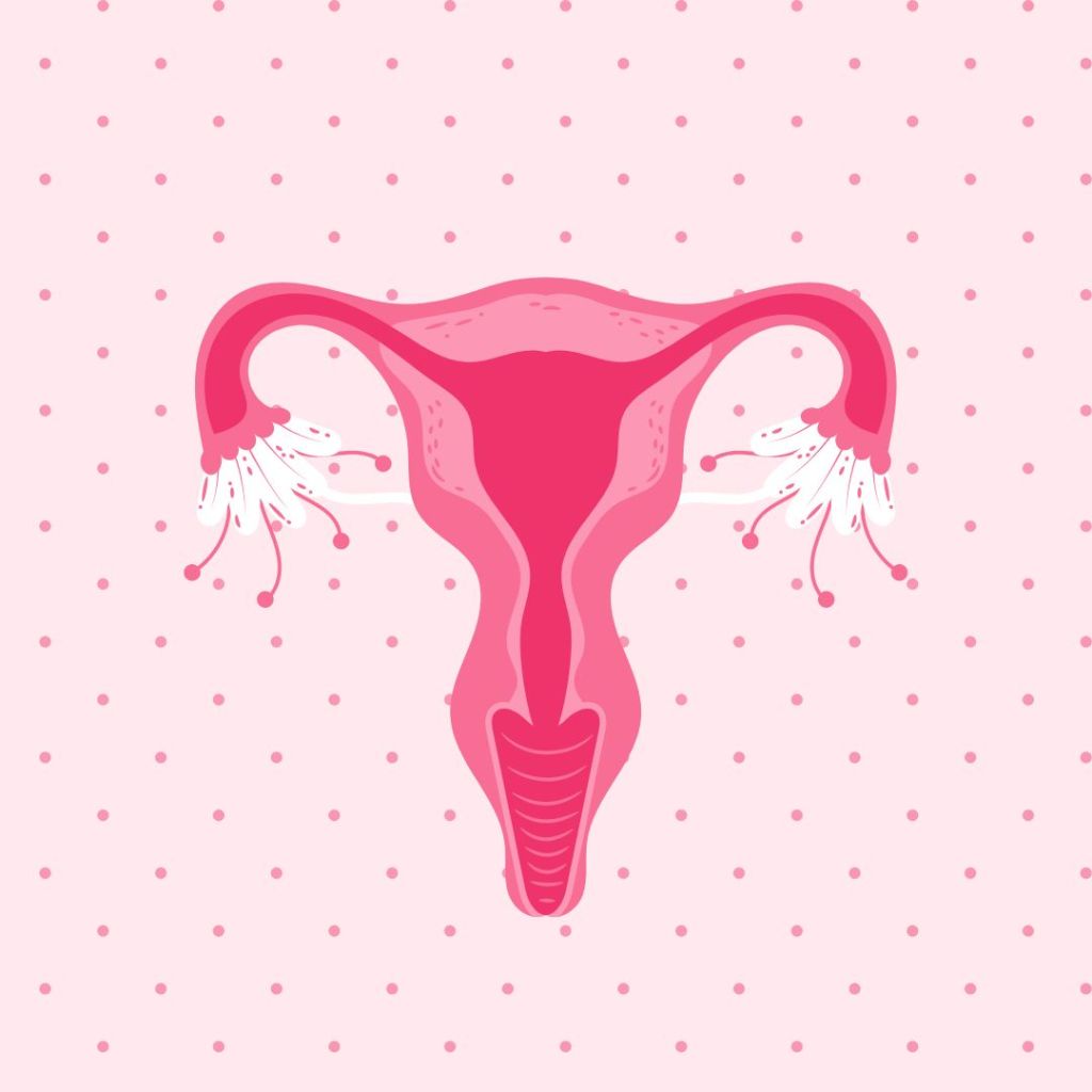 Leptina e fertilidade